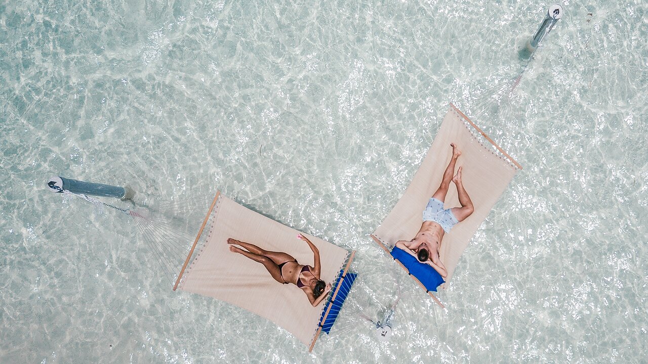 Caribbean Sea Hammocks