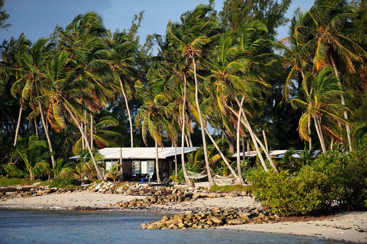 Cabins and hammocks