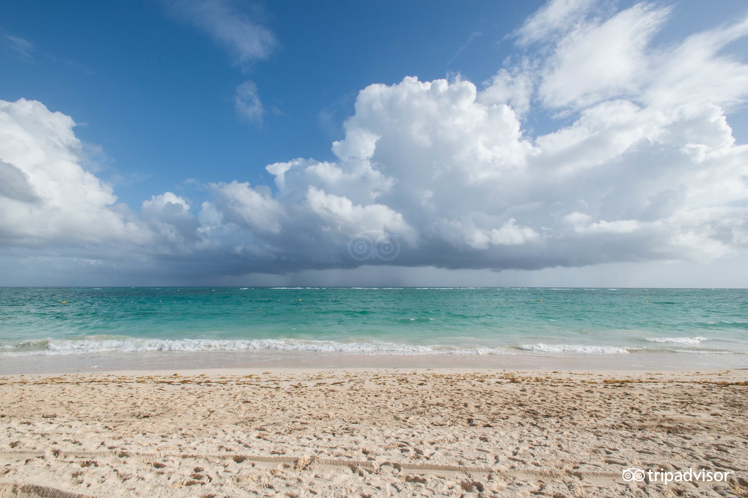 Beach at the Grand Palladium Palace Resort Spa & Casino