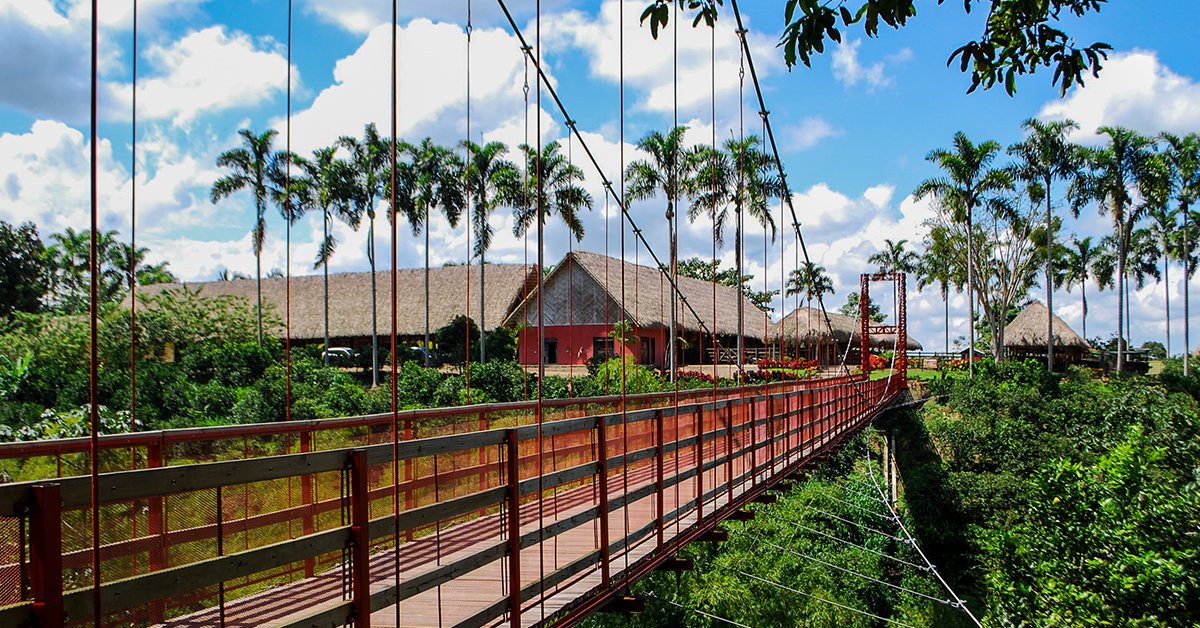 Decameron Panaca