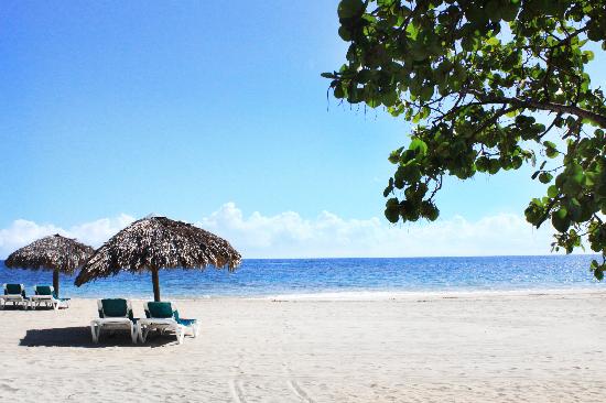 Playa Dorada Beach