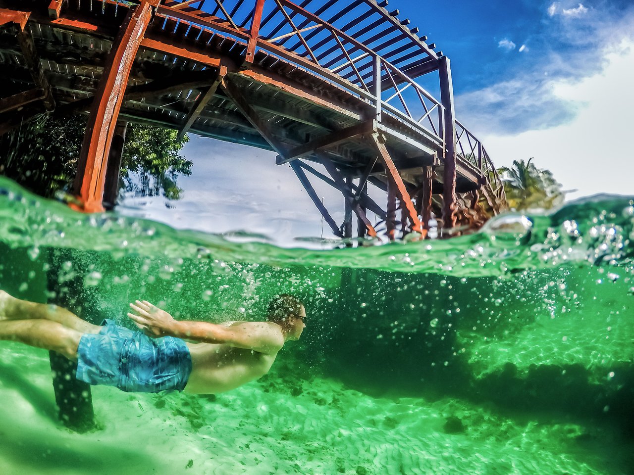 Dive and feel renew