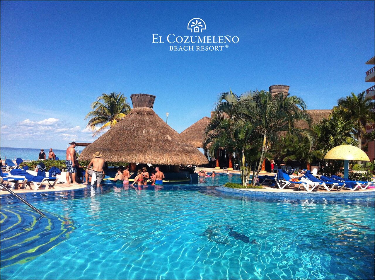 Pool Bar