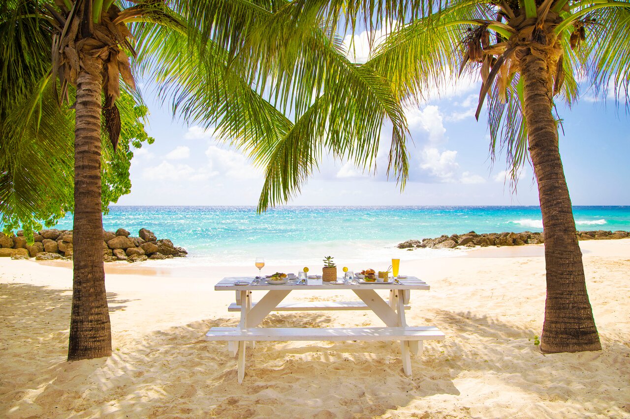 Bluefin lunch on the beach