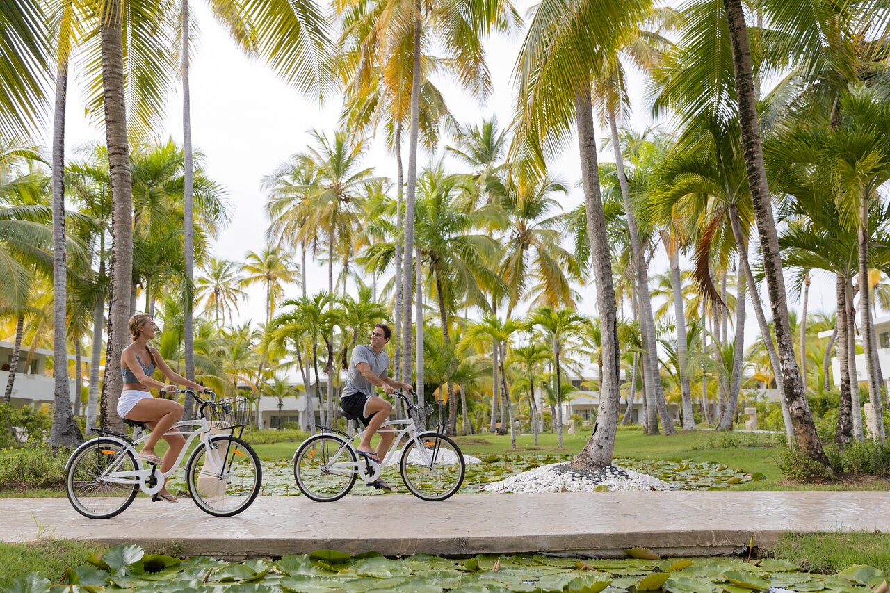 Bike Tour