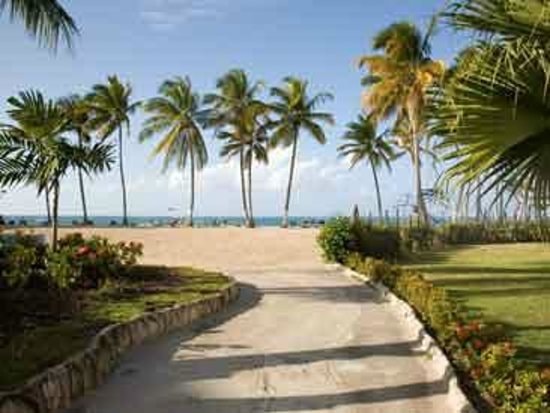 Playa