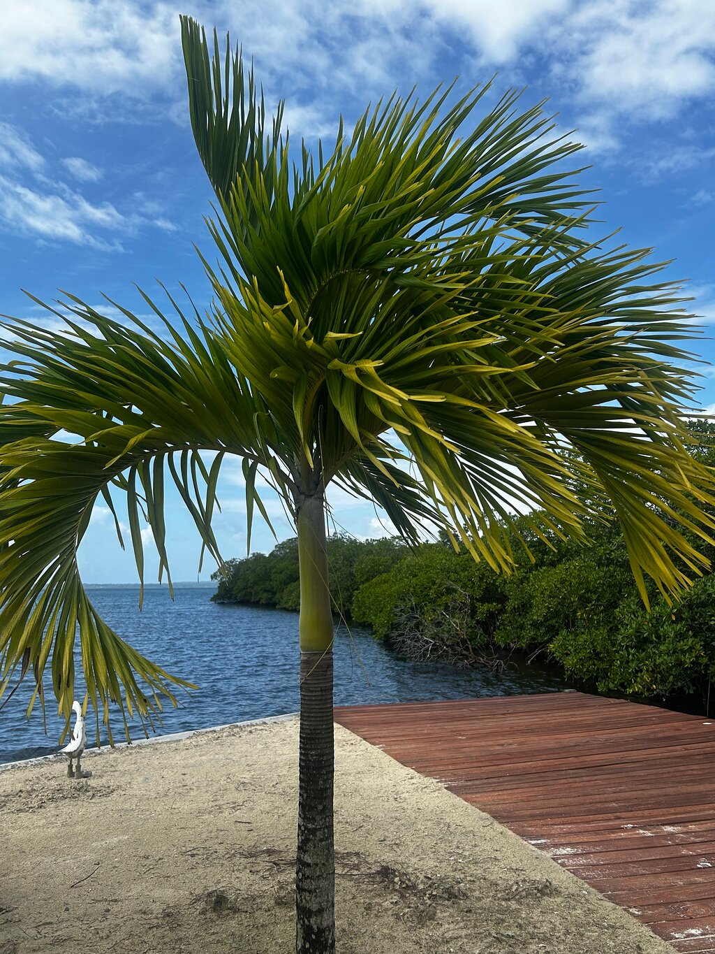 Nayara Bocas Del Toro - All Inclusive - (16+ Allowed)